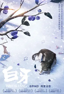 久久精品成人
