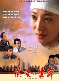 姐夫我可以