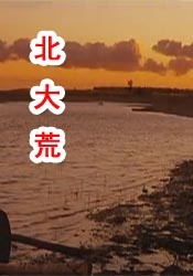 91婷婷
