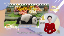 姐姐外遇